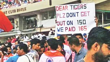 dear tiger.jpg