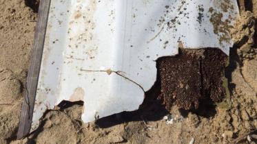 debris1a.jpg