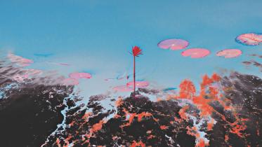 DECAYING NATURE