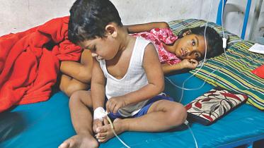 dengue.jpg
