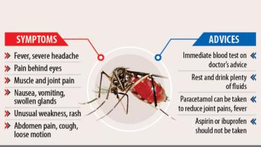 dengue f.jpg