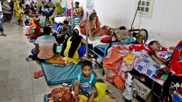 Dengue Rattles1.jpg
