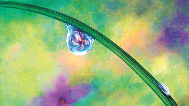 Dewdrops.jpg