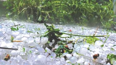 Sudden Hailstorm...