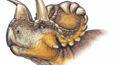 Dinosorus