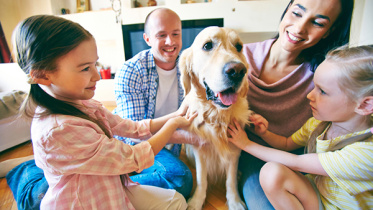 contact with dogs