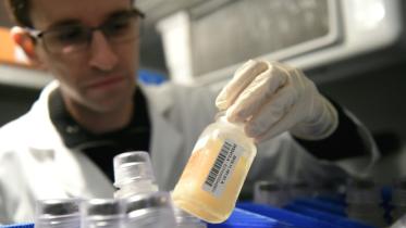 Doping