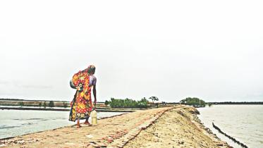 dry season.jpg