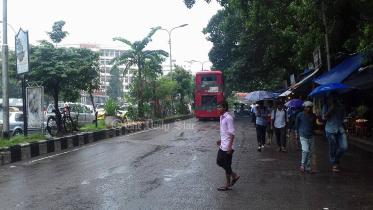 du-bus-wrong-side-rafi-3-wb.jpg