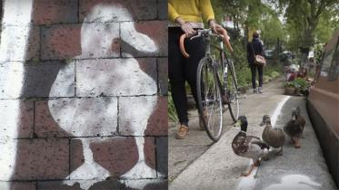 Duck_Lanes_Britain.jpg