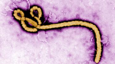 ebola-virus.jpg