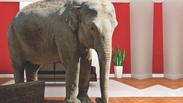 elephant.jpg