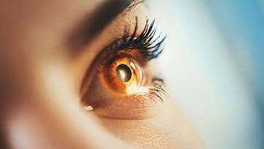 Eye-sight.jpg
