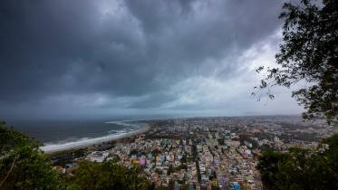 Fani looms-wb.jpg