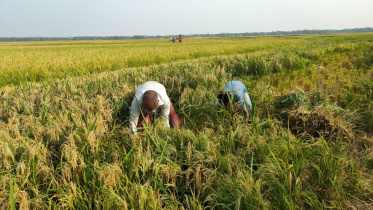 Farmers-given-full-support.jpg