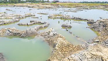 fertile land 1.jpg