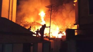 fire-web.jpg