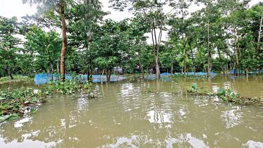 Fish-farmers-1.jpg