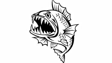 fish.jpg