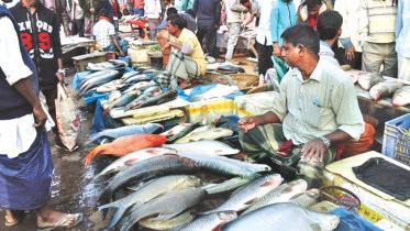 fish fest 1.jpg