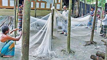 Fishers-ready-sail-hilsa.jpg