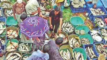 Fisheryghat 1.jpg