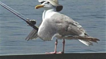 Fishing