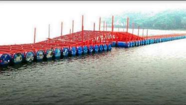 floating bridge.jpg
