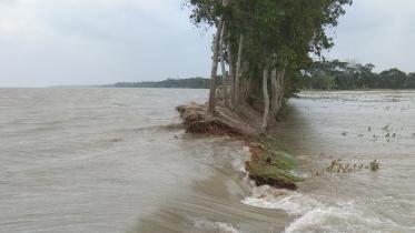 flood-web.jpg