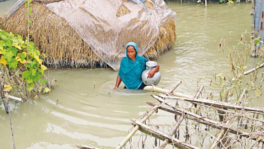 flood1_7.jpg