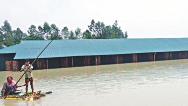 Flood.jpg