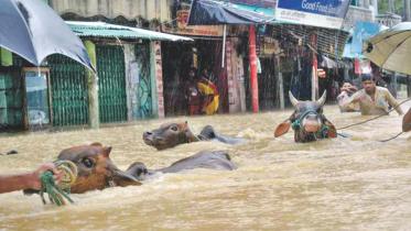 flood_1.jpg