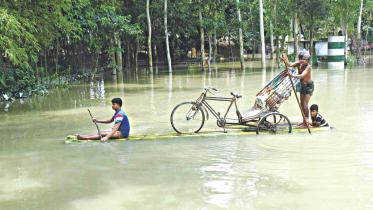 flood 1.jpg