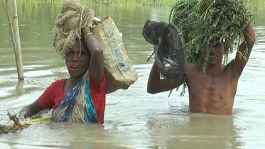 flood.jpg