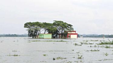 flood.jpg