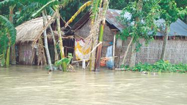 flood.jpg