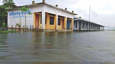 Flood.jpg