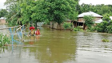 flood.jpg