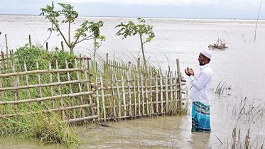 flood.jpg