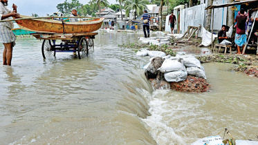 flood.jpg