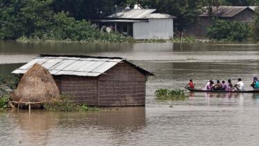 flood ap.jpg