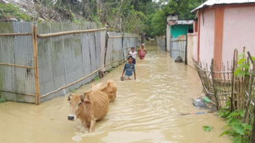 Flood Victim