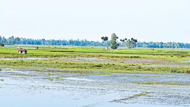 Floods-destroy-1.jpg
