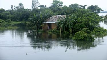 floodwater.jpg