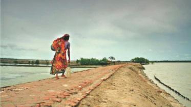 floodwater recedes.jpg