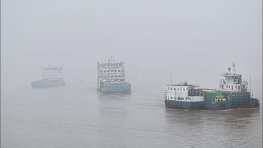 fog_2.jpg