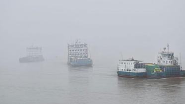 fog_web.jpg