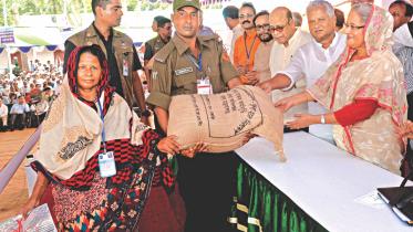 food grains