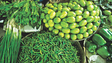FOR THE LOVE OF AGRO FARMING