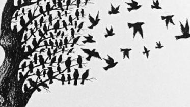 fragmented